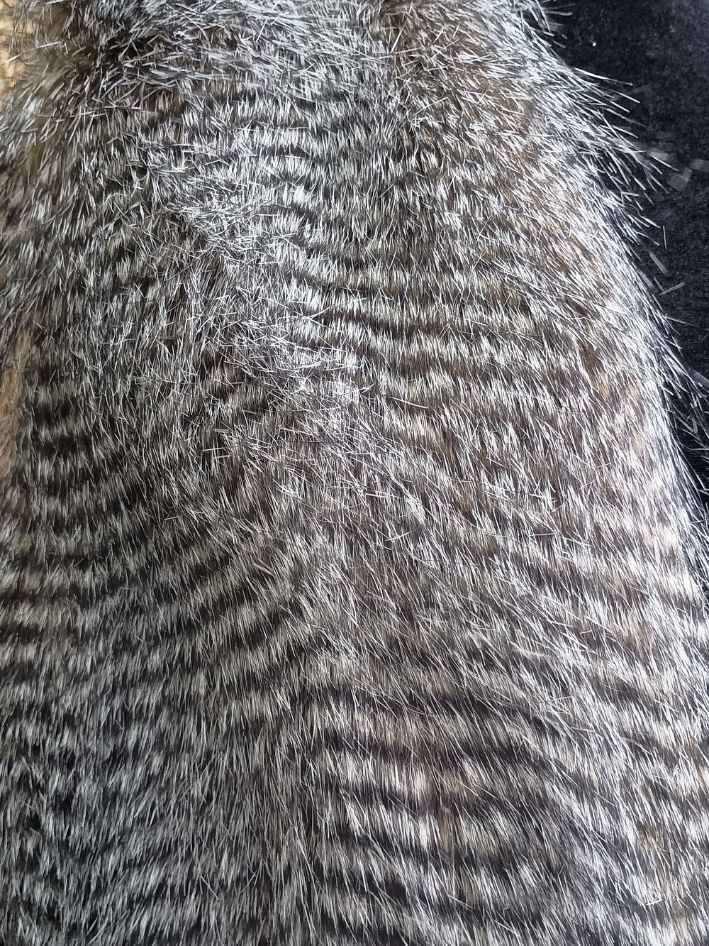 Buttons Gray Faux Fur Vest_M - Picture 2 of 6